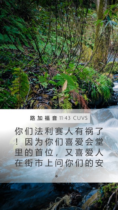 路 加 福 音 11:43 CUVS Bible Verse Image