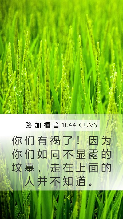 路 加 福 音 11:44 CUVS Bible Verse Image