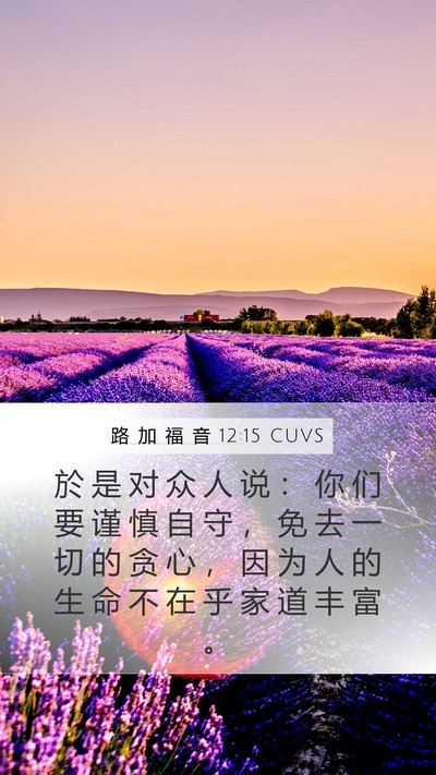 路 加 福 音 12:15 CUVS Bible Verse Image