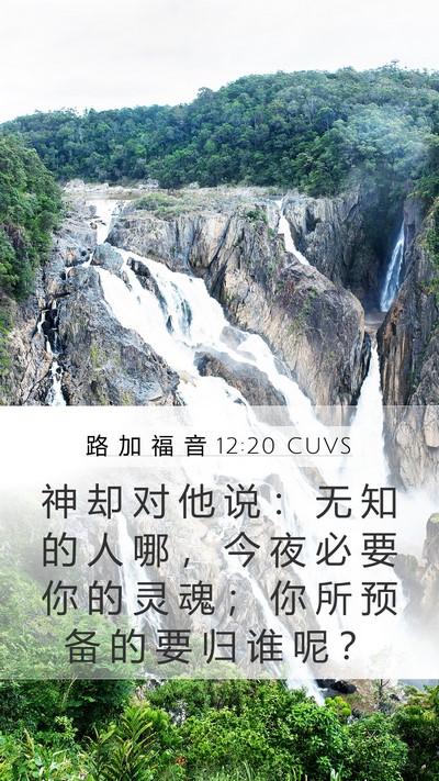 路 加 福 音 12:20 CUVS Bible Verse Image