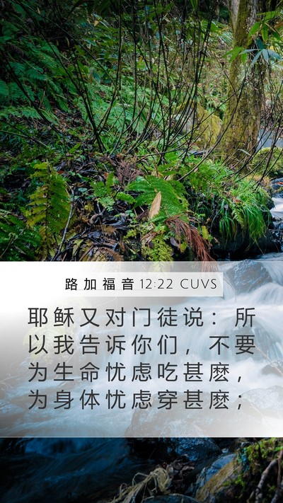 路 加 福 音 12:22 CUVS Bible Verse Image