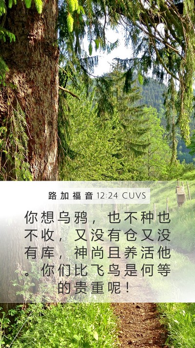 路 加 福 音 12:24 CUVS Bible Verse Image