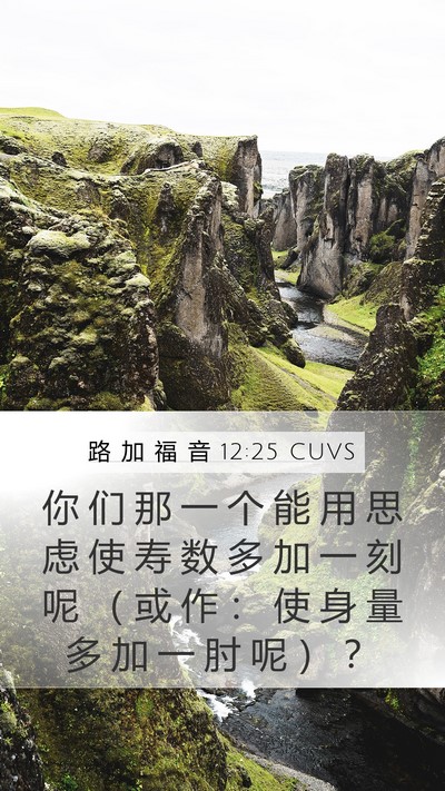 路 加 福 音 12:25 CUVS Bible Verse Image