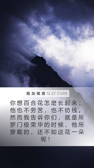 路 加 福 音 12:27 CUVS Bible Verse Image
