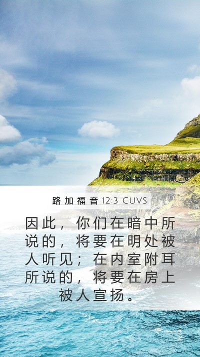 路 加 福 音 12:3 CUVS Bible Verse Image