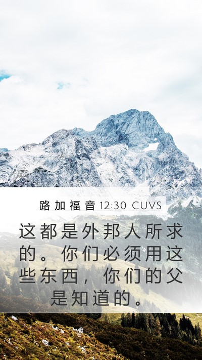 路 加 福 音 12:30 CUVS Bible Verse Image