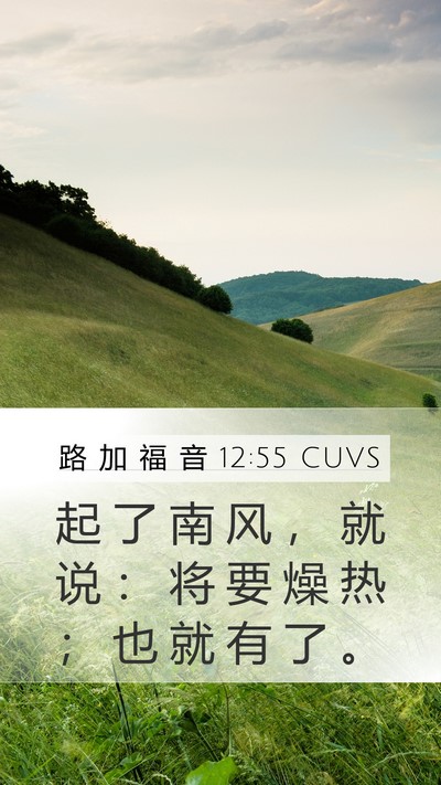 路 加 福 音 12:55 CUVS Mobile Phone Wallpaper - 起 了 南 风 ， 就 说 ： 将 要 燥 热 - Mobile Bible Verse Wallpaper
