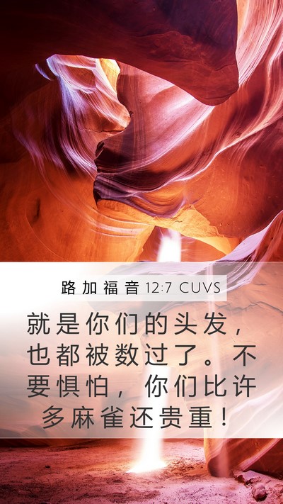 路 加 福 音 12:7 CUVS Bible Verse Image