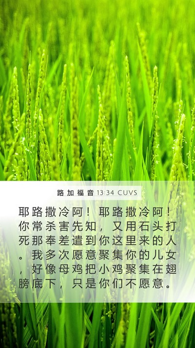 路 加 福 音 13:34 CUVS Bible Verse Image