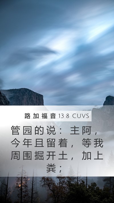 路 加 福 音 13:8 CUVS Mobile Phone Wallpaper - 管 园 的 说 ： 主 阿 ， 今 年 且 留 - Mobile Bible Verse Wallpaper