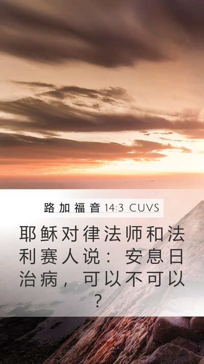 路 加 福 音 14:3 CUVS Bible Verse Image