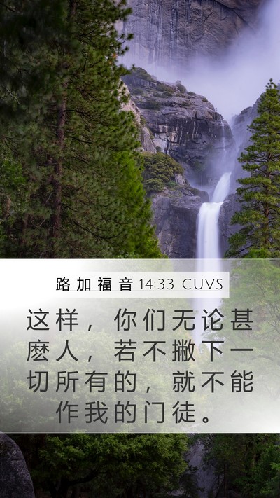 路 加 福 音 14:33 CUVS Bible Verse Image