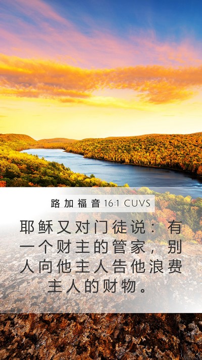 路 加 福 音 16:1 CUVS Mobile Phone Wallpaper - 耶 稣 又 对 门 徒 说 ： 有 一 个 财 - Mobile Bible Verse Wallpaper
