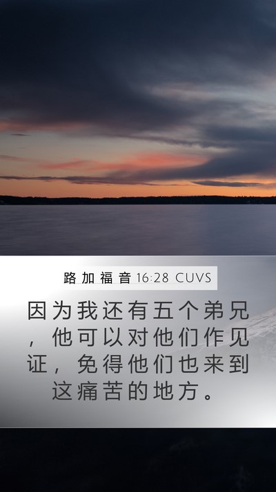 路 加 福 音 16:28 CUVS Bible Verse Image