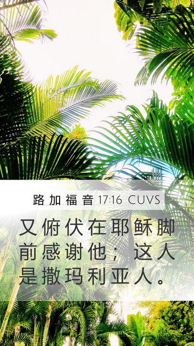 路 加 福 音 17:16 CUVS Mobile Phone Wallpaper - 又 俯 伏 在 耶 稣 脚 前 感 谢 他 ； - Mobile Bible Verse Wallpaper