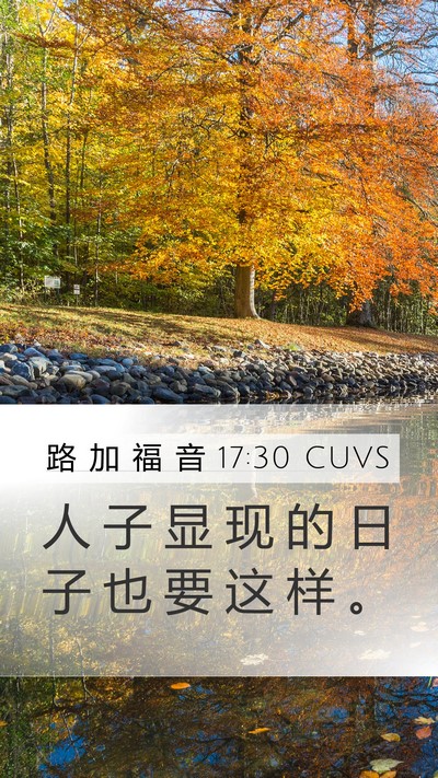 路 加 福 音 17:30 CUVS Mobile Phone Wallpaper - 人 子 显 现 的 日 子 也 要 这 样 - Mobile Bible Verse Wallpaper