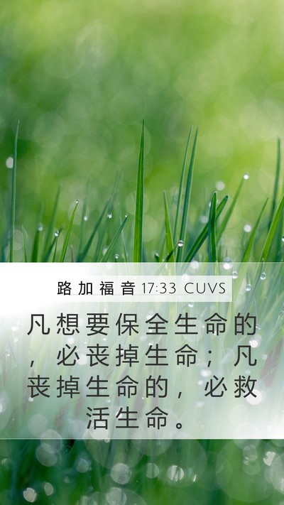 路 加 福 音 17:33 CUVS Mobile Phone Wallpaper - 凡 想 要 保 全 生 命 的 ， 必 丧 掉 - Mobile Bible Verse Wallpaper