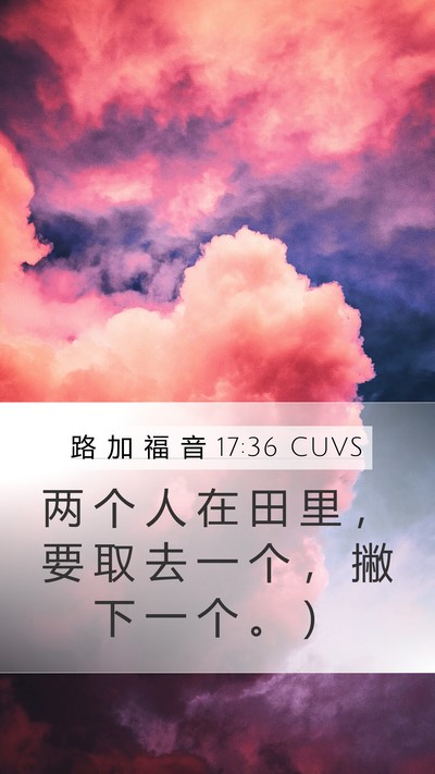 路 加 福 音 17:36 CUVS Mobile Phone Wallpaper - 两 个 人 在 田 里 ， 要 取 去 一 个 - Mobile Bible Verse Wallpaper