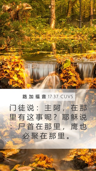 路 加 福 音 17:37 CUVS Bible Verse Image