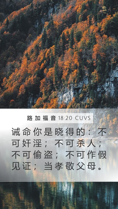 路 加 福 音 18:20 CUVS Bible Verse Image