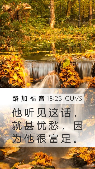 路 加 福 音 18:23 CUVS Mobile Phone Wallpaper - 他 听 见 这 话 ， 就 甚 忧 愁 ， 因 - Mobile Bible Verse Wallpaper