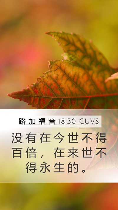 路 加 福 音 18:30 CUVS Mobile Phone Wallpaper - 没 有 在 今 世 不 得 百 倍 ， 在 来 - Mobile Bible Verse Wallpaper