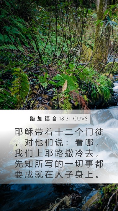 路 加 福 音 18:31 CUVS Bible Verse Image