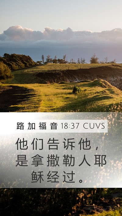路 加 福 音 18:37 CUVS Mobile Phone Wallpaper - 他 们 告 诉 他 ， 是 拿 撒 勒 人 耶 - Mobile Bible Verse Wallpaper