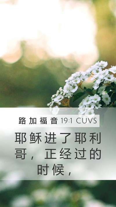 路 加 福 音 19:1 CUVS Mobile Phone Wallpaper - 耶 稣 进 了 耶 利 哥 ， 正 经 过 的 - Mobile Bible Verse Wallpaper