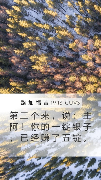 路 加 福 音 19:18 CUVS Mobile Phone Wallpaper - 第 二 个 来 ， 说 ： 主 阿 ！ 你 的 - Mobile Bible Verse Wallpaper