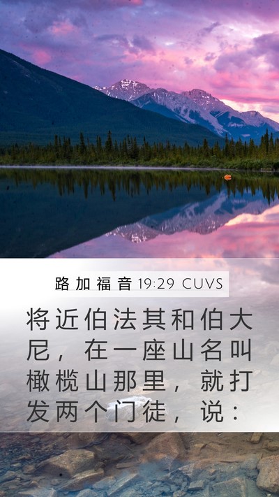路 加 福 音 19:29 CUVS Bible Verse Image