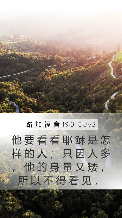 路 加 福 音 19:3 CUVS Mobile Phone Wallpaper - 他 要 看 看 耶 稣 是 怎 样 的 人 ； - Mobile Bible Verse Wallpaper