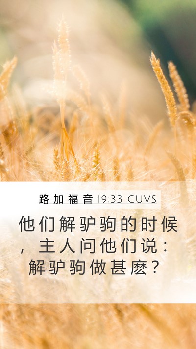 路 加 福 音 19:33 CUVS Mobile Phone Wallpaper - 他 们 解 驴 驹 的 时 候 ， 主 人 问 - Mobile Bible Verse Wallpaper