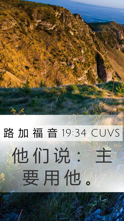 路 加 福 音 19:34 CUVS Bible Verse Image