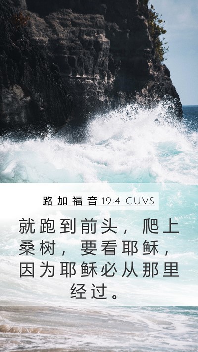 路 加 福 音 19:4 CUVS Bible Verse Image