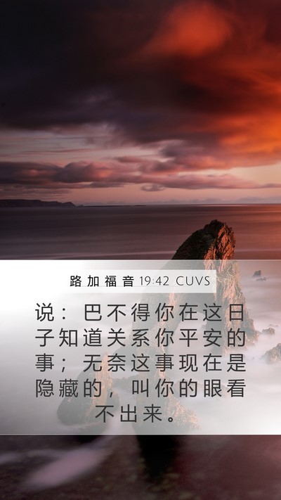路 加 福 音 19:42 CUVS Bible Verse Image