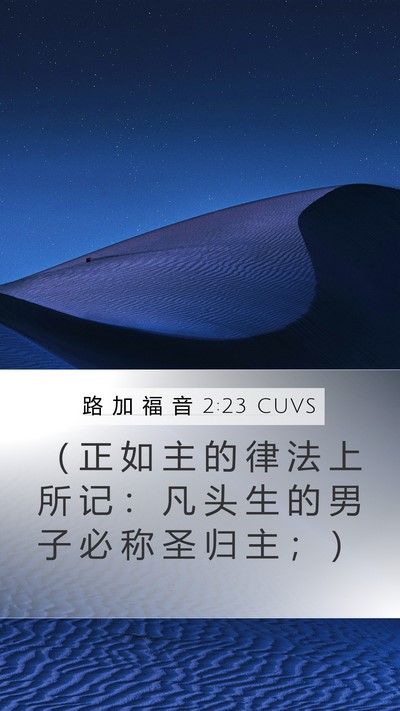 路 加 福 音 2:23 CUVS Bible Verse Image