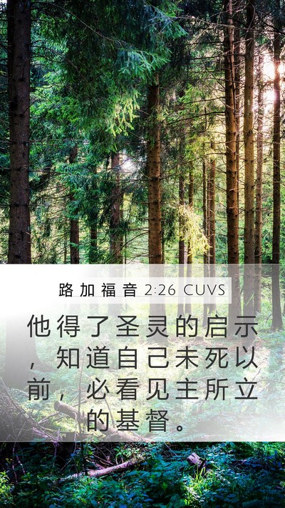 路 加 福 音 2:26 CUVS Bible Verse Image