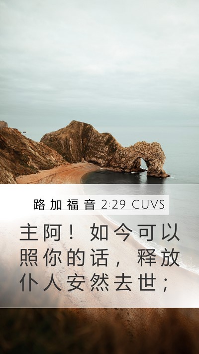 路 加 福 音 2:29 CUVS Bible Verse Image