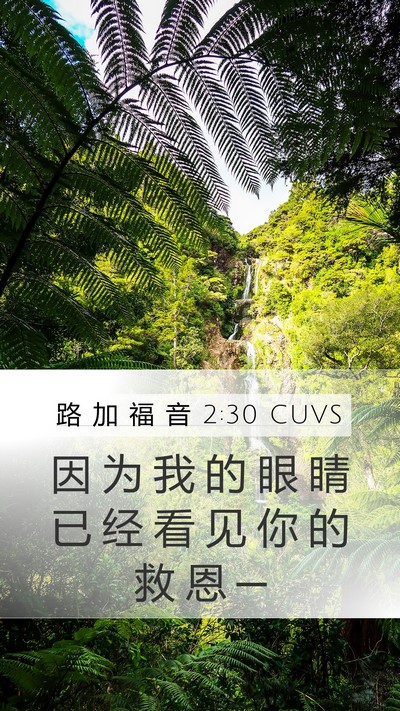 路 加 福 音 2:30 CUVS Bible Verse Image