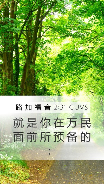 路 加 福 音 2:31 CUVS Mobile Phone Wallpaper - 就 是 你 在 万 民 面 前 所 预 备 的 - Mobile Bible Verse Wallpaper