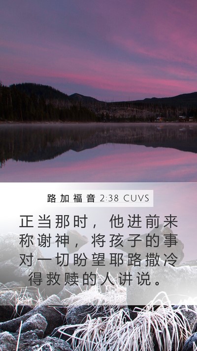 路 加 福 音 2:38 CUVS Mobile Phone Wallpaper - 正 当 那 时 ， 他 进 前 来 称 谢 神 - Mobile Bible Verse Wallpaper