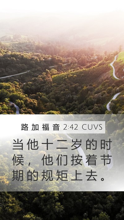 路 加 福 音 2:42 CUVS Mobile Phone Wallpaper - 当 他 十 二 岁 的 时 候 ， 他 们 按 - Mobile Bible Verse Wallpaper