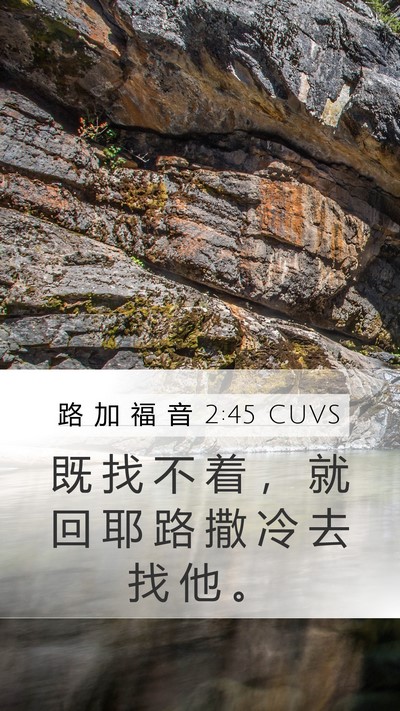 路 加 福 音 2:45 CUVS Mobile Phone Wallpaper - 既 找 不 着 ， 就 回 耶 路 撒 冷 去 - Mobile Bible Verse Wallpaper