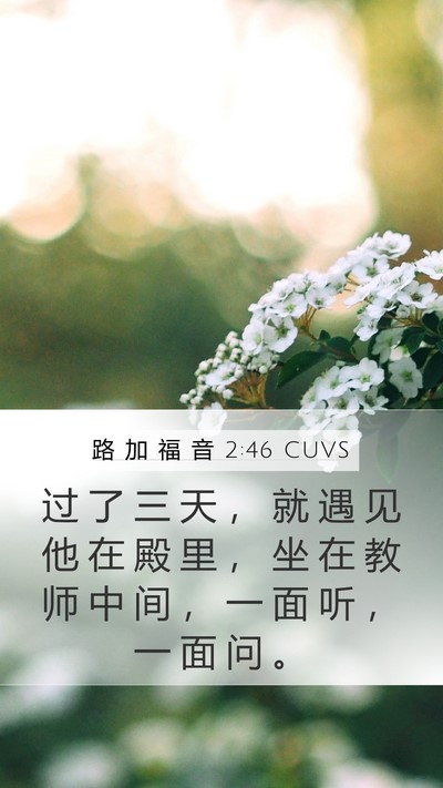 路 加 福 音 2:46 CUVS Bible Verse Image
