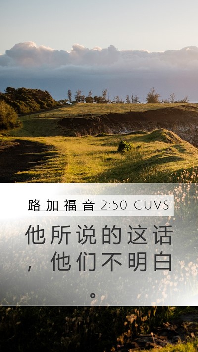 路 加 福 音 2:50 CUVS Bible Verse Image