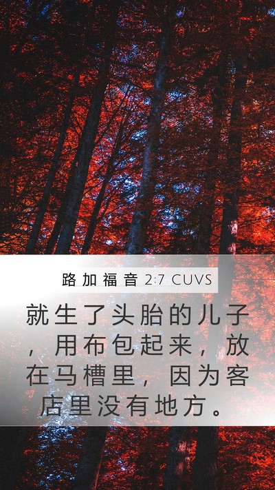 路 加 福 音 2:7 CUVS Bible Verse Image