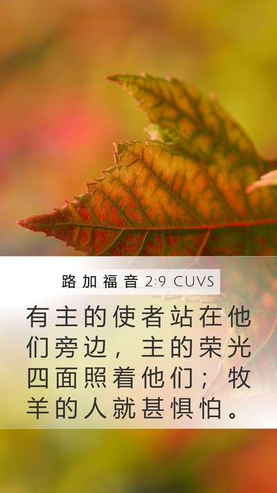路 加 福 音 2:9 CUVS Mobile Phone Wallpaper - 有 主 的 使 者 站 在 他 们 旁 边 ， - Mobile Bible Verse Wallpaper