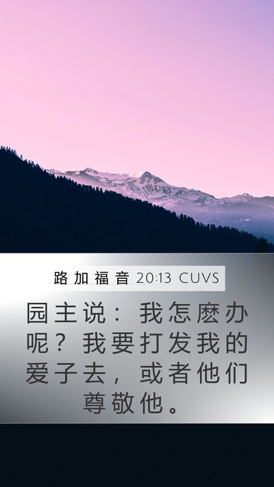 路 加 福 音 20:13 CUVS Bible Verse Image