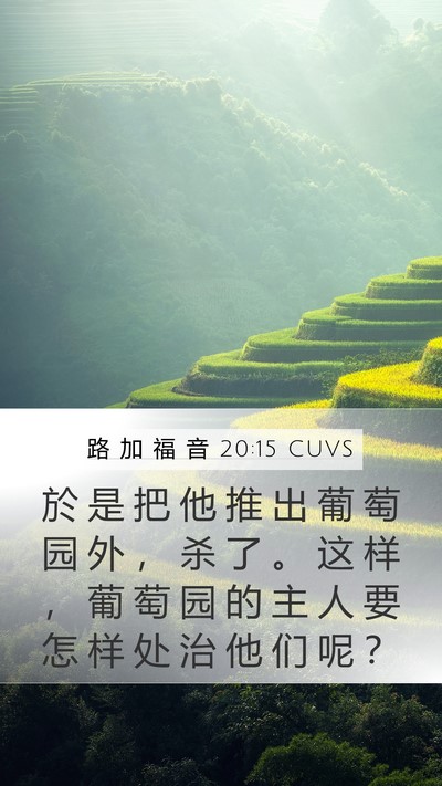 路 加 福 音 20:15 CUVS Bible Verse Image